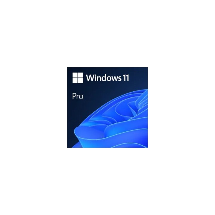 Windows Professional 11 64-bit All Lang Product Key