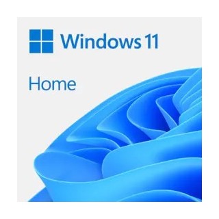 WIN HOME 11 64-bit All Lang Online Product Key ESD
