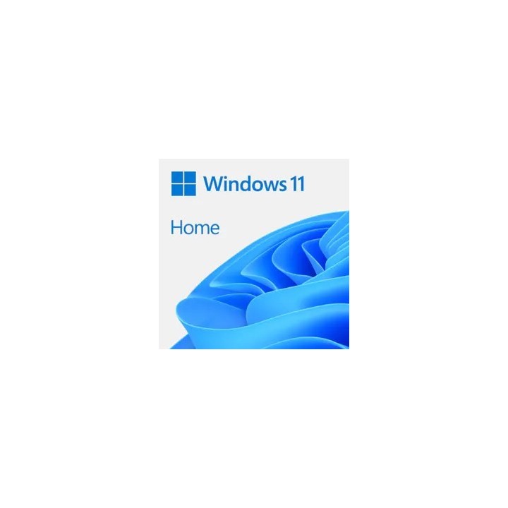WIN HOME 11 64-bit All Lang Online Product Key ESD