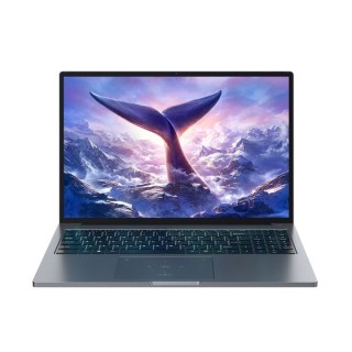 Blackview GamiBook-8 Ryzen 7 7735HS 16"WUXGA AG 16GB 512GB BT BLKB FPR W11Pro Grey (WYPRZEDAŻ)