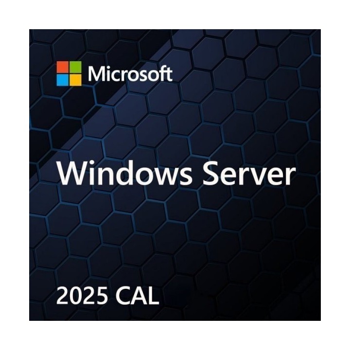 Microsoft Windows Svr CAL 2025 PL 5Clt User CAL OEM