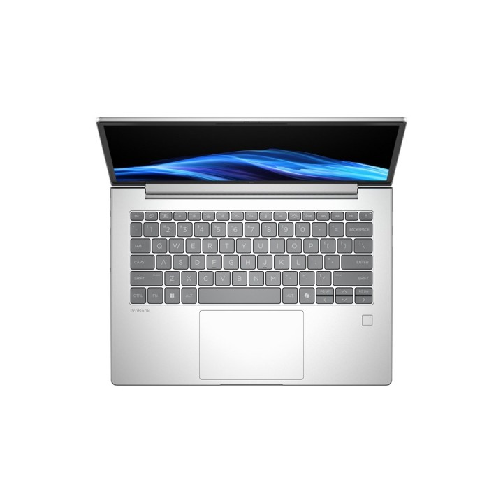 HP ProBook 4 G1A Ryzen 7 250 AI 14"WUXGA 300nits AG 16GB DDR5 5600 SSD512 Radeon 780M Cam1080p 56Wh W11Pro Pike silver 3Y OnSite