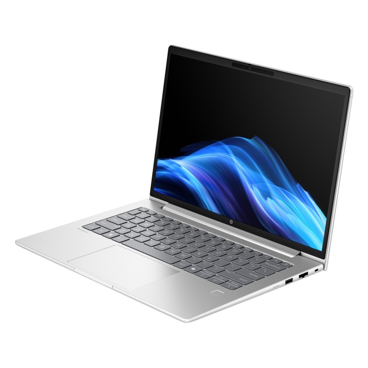 HP ProBook 4 G1A Ryzen 7 250 AI 14"WUXGA 300nits AG 16GB DDR5 5600 SSD512 Radeon 780M Cam1080p 56Wh W11Pro Pike silver 3Y OnSite