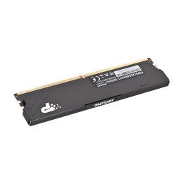 Patriot Premium Black DDR5 12GB 5600MHz Radiator 1Rank