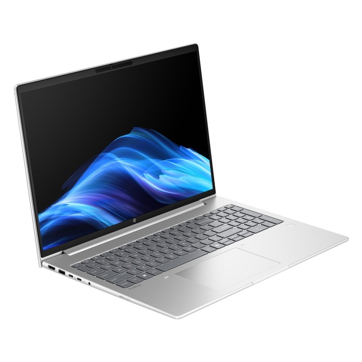 HP ProBook 4 G1a Ryzen 7 250 16.0"WUXGA IPS 300nits AG 24GB DDR5 5600 SSD512 Radeon 780M Cam1080p 56Wh W11Pro Pike silver 3Y