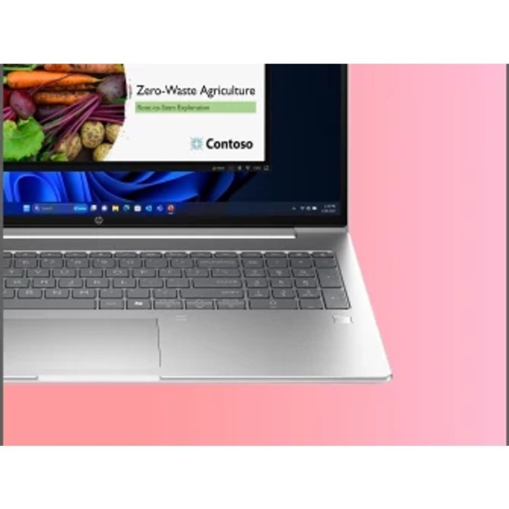 HP ProBook 4 G1a Ryzen 7 250 16.0"WUXGA IPS 300nits AG 24GB DDR5 5600 SSD512 Radeon 780M Cam1080p 56Wh W11Pro Pike silver 3Y