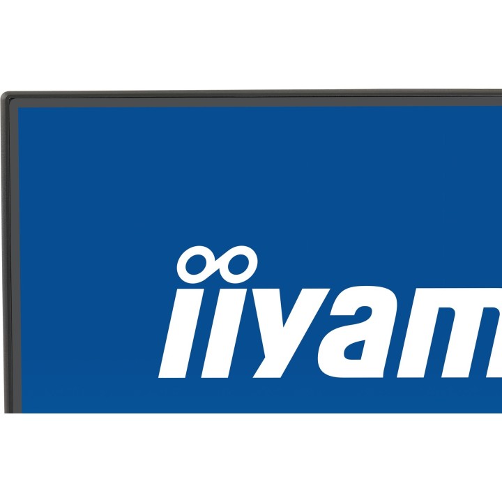 MONITOR IIYAMA LED 23,8" XB2492HSU-B1 120Hz