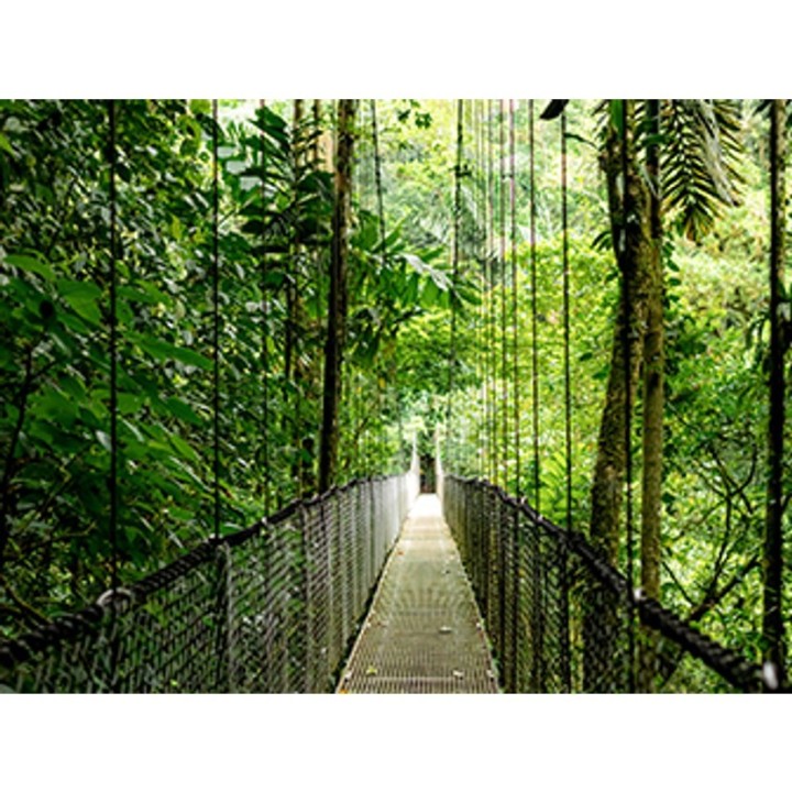 HP EliteBook 6 G1i Ultra 5 225U 14.0"WUXGA IPS 400nits Eye Ease AG 24GB DDR5 5600 SSD512 Arc Cam 5Mpx 56Wh W11Pro Pike silver