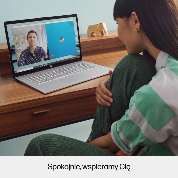 HP 17-cn3003ca i5 1334U 17.3"FHD 16GB SSD1TB BT Win11 Natural Silver (REPACK) 2Y