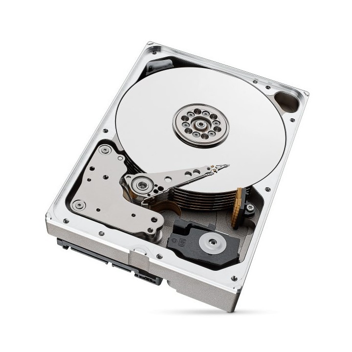 Dysk HDD Seagate IronWolf Pro (10 TB 256MB 3.5" SATA)