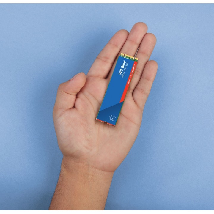 Dysk SSD WD Blue WDS100T3B0B (1 TB M.2 SATA III)