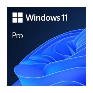 Windows Professional 11 64-bit All Lang Product Key