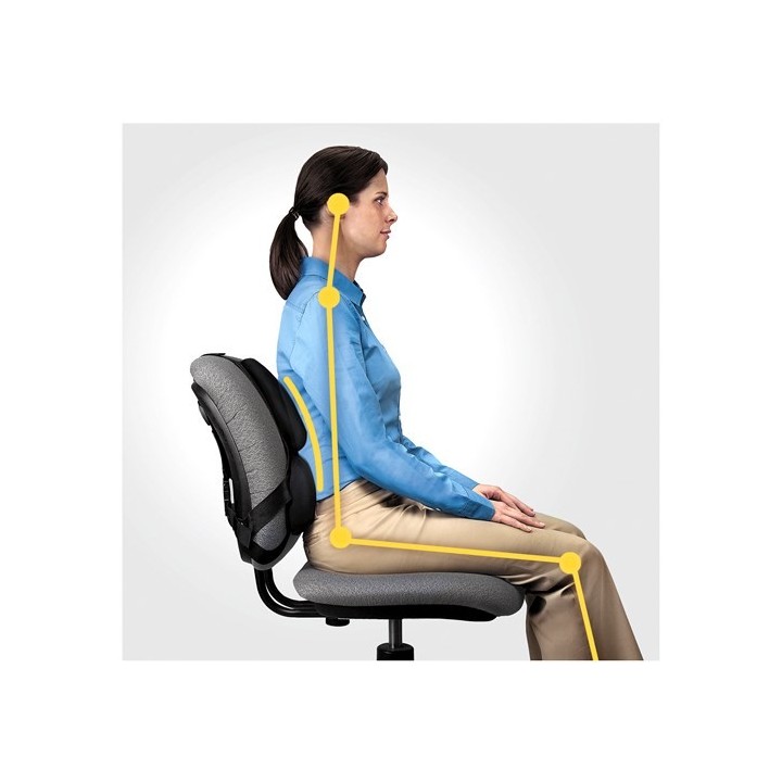 Fellowes Ergonomia podpórka poduszka profesjonalna pod plecy