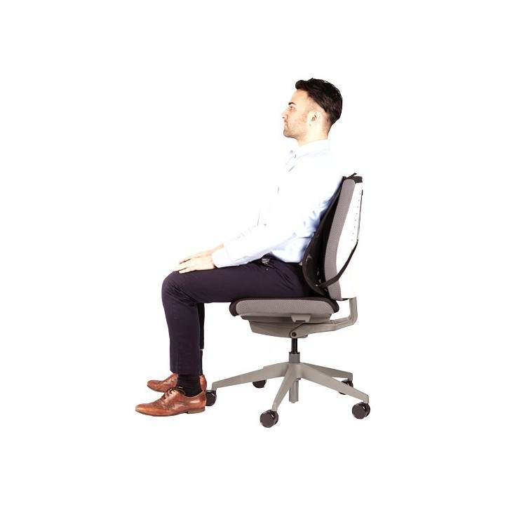 Fellowes Ergonomia podpórka poduszka pod plecy siatkowa profesjonalna