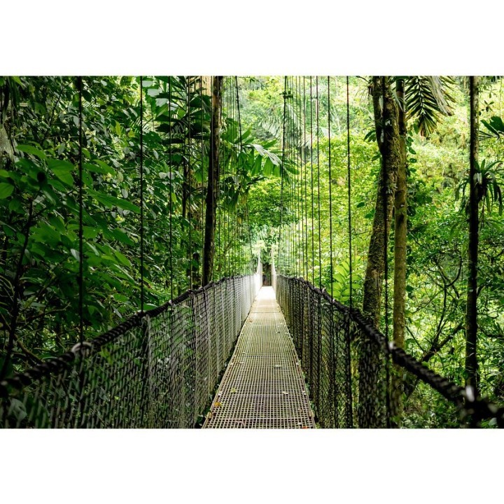 HP EliteBook 6 G1i Ultra 5 225U 14.0"WUXGA IPS 400nits Eye Ease AG 24GB DDR5 5600 SSD512 Arc Cam 5Mpx 56Wh W11Pro Pike silver